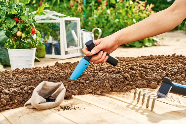 29ja1gxjq3d5sz5usvtzovdtuucb9j2c