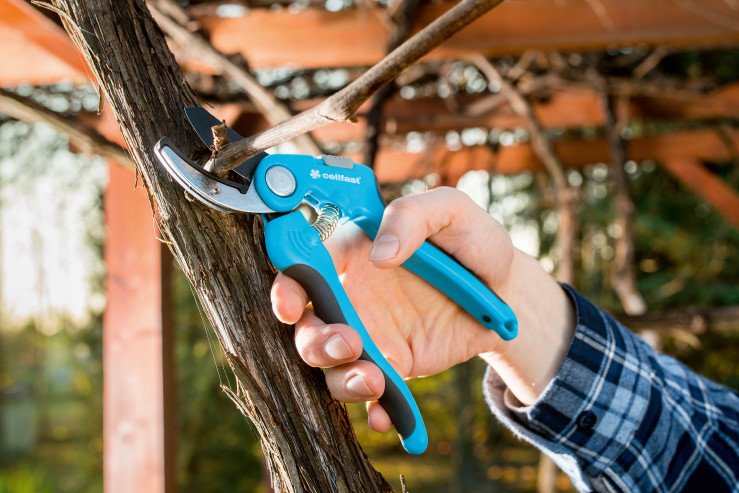 6boxcvu1u4p1wjzof36wwl698dlicv3k