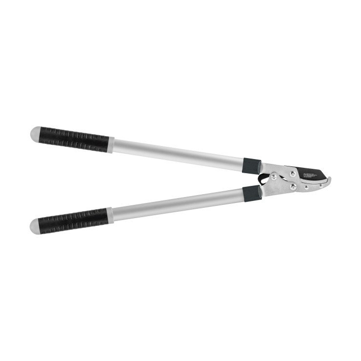 jejvl5mwn8euwtfvrjgrjtckacpdhgkd