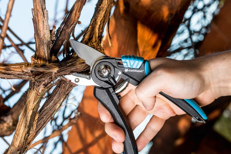 jlgf1s67jefst0624vi7m97yud470425