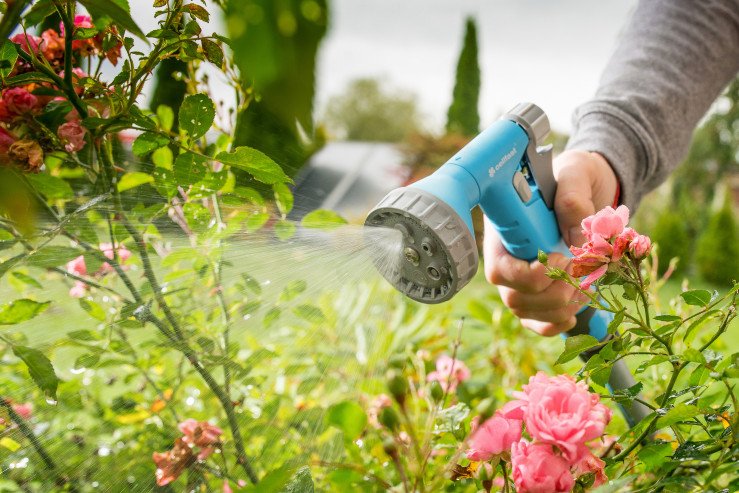 va5h2bhjyos29wmow5y7598f3xx9mg5g