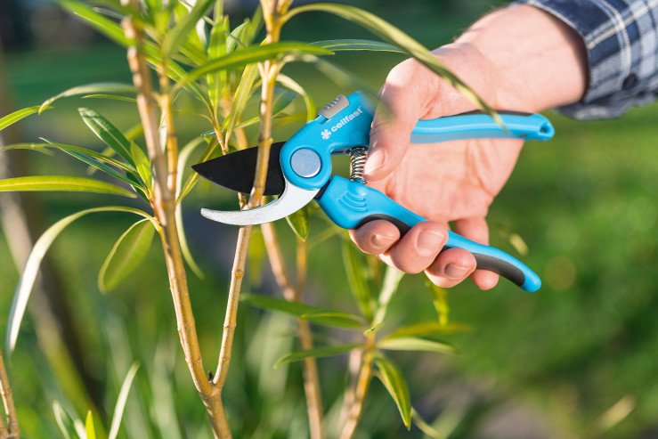 y19x36z7q3ijwdridzjpud27jtlgzsb9