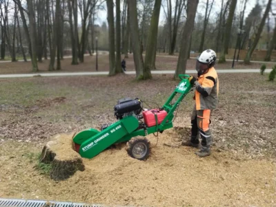 Купить измельчитель пней